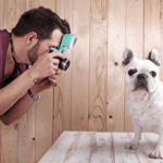 Tippek a profi kutyafotók elkészítéséhez