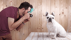 Tippek a profi kutyafotók elkészítéséhez