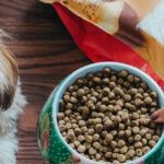 Érdemes-e zsákos kutyatápot vásárolni?