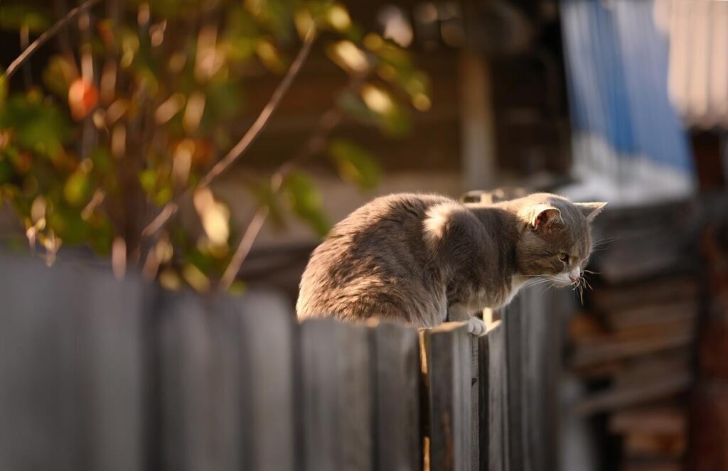 Hogyan védelmezzük kültéri fa felületeinket?
