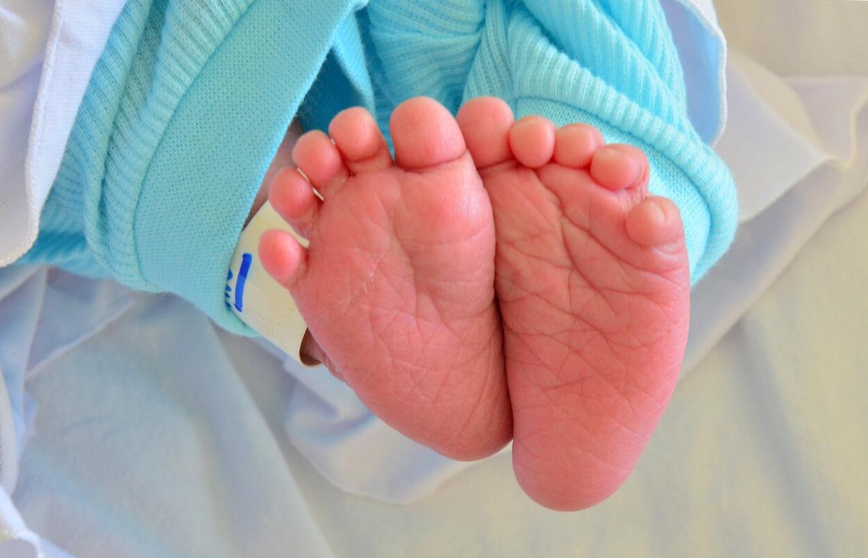 A méhlepény szerepe