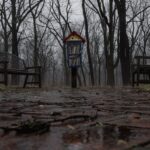 5 olcsó és szuper tipp a kulturális élményekhez