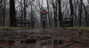 5 olcsó és szuper tipp a kulturális élményekhez