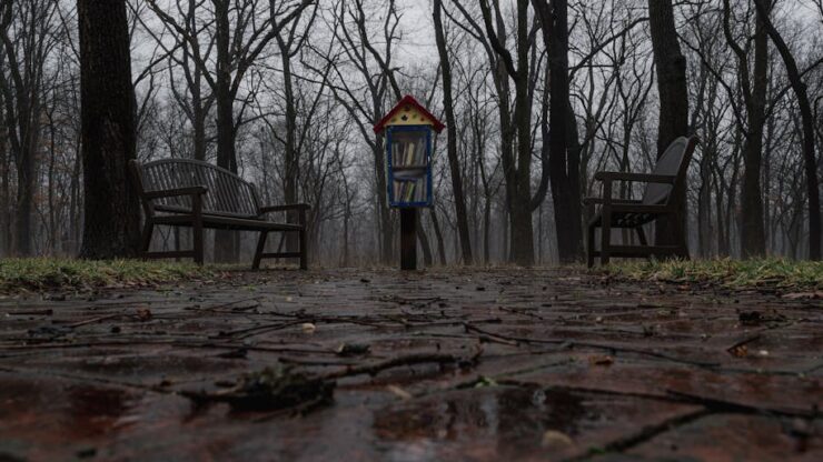 Illusztráció: Chris F