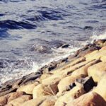 Miért érdemes idén a Balti-tenger partján tölteni a szabadságunkat?