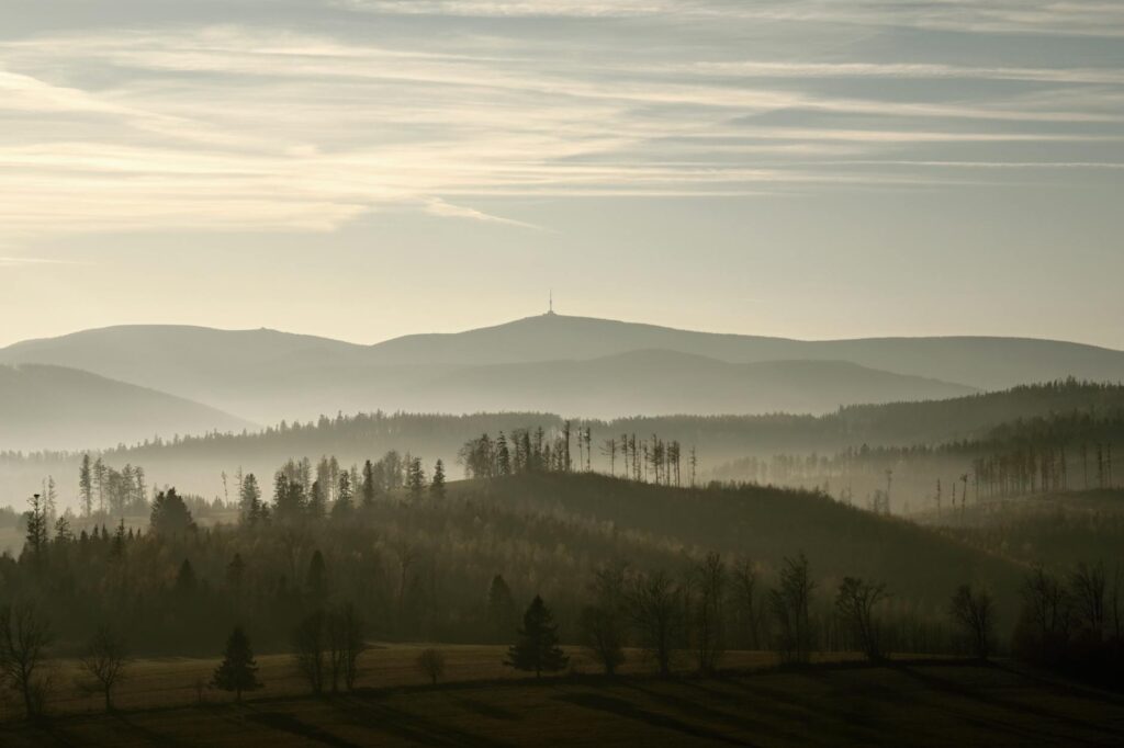 Miért érdemes minden nap legalább fél órát a természetben töltenünk?
