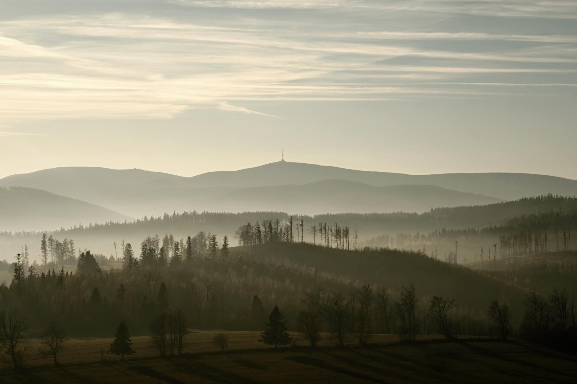Miért érdemes minden nap legalább fél órát a természetben töltenünk?