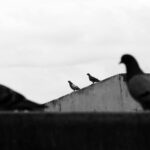 Miért választják egyre többen a használt ruhákat az új darabok helyett?