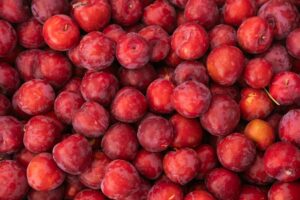 Miért érdemes sokkal több figyelmet fordítanunk a bélflóránk egyensúlyára?