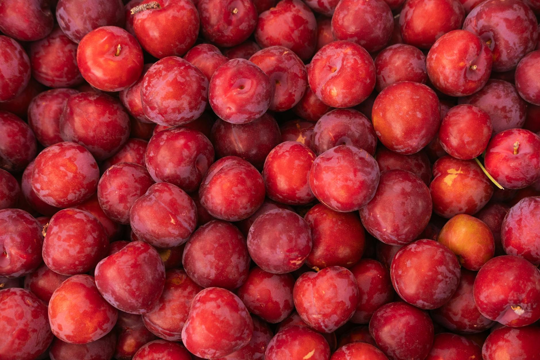 Miért érdemes sokkal több figyelmet fordítanunk a bélflóránk egyensúlyára?