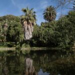 Miért érdemes minden nap beiktatni egy rövid sétát a friss levegőn?